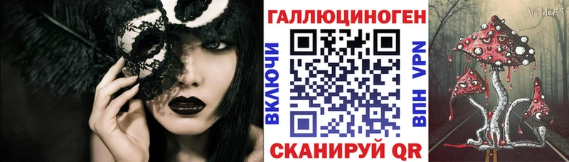 Псилоцибиновые грибы Psilocybine cubensis что такое блэк спрут зеркало Петропавловск-Камчатский