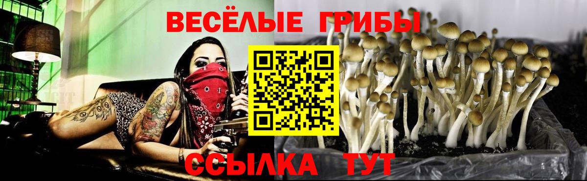 Петропавловск-Камчатский  Галлюциногенные грибы Magic Shrooms  Вход с VPN 